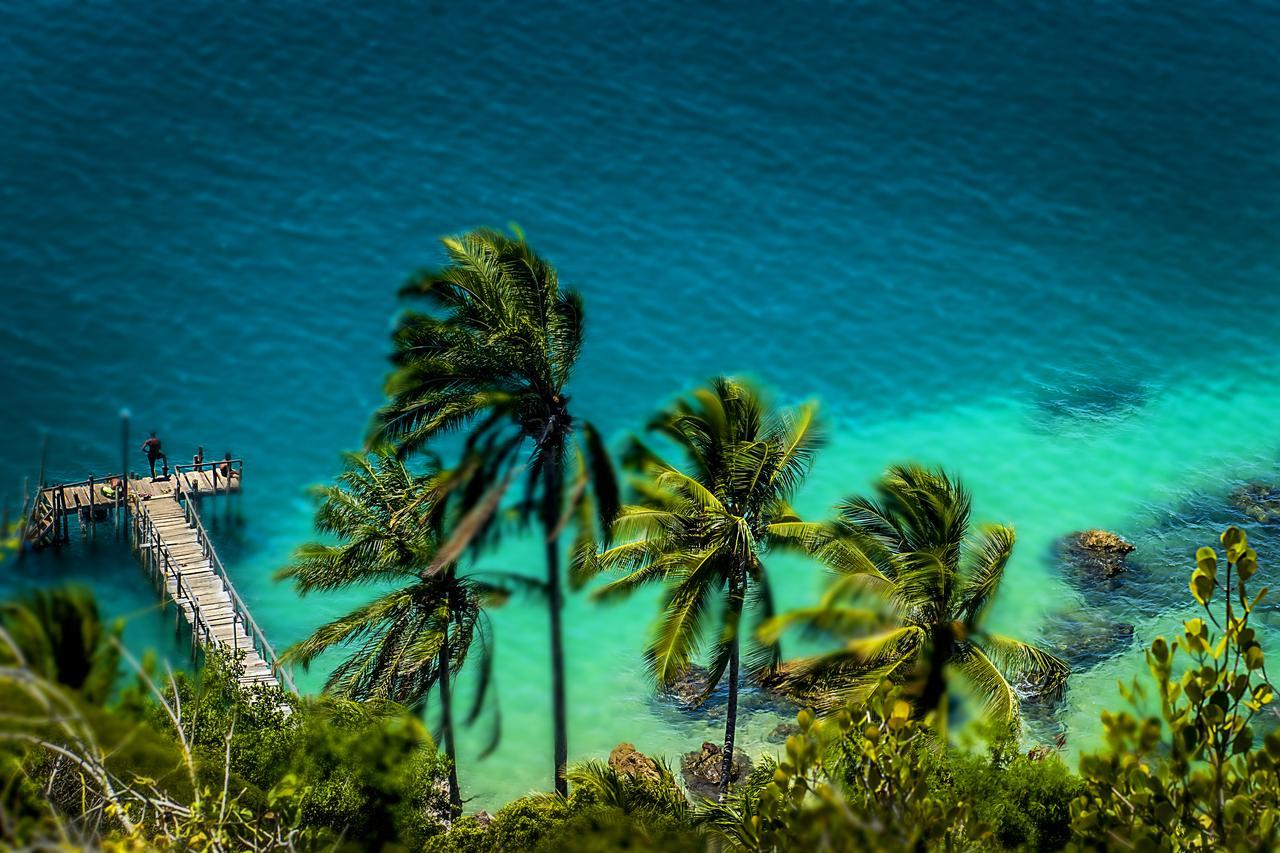 Апартаменты Mar E Morro Flats Морро-де-Сан-Паулу Экстерьер фото